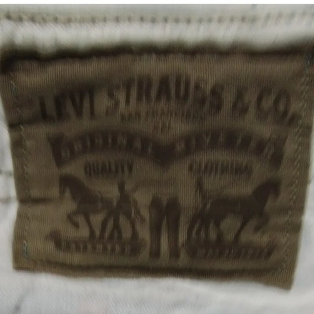 Levi Strauss & Co Plaid Shorts Men's W29 Blue Red White Flat Front Casual‎